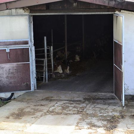 An Der Kapf Apartman Münsingen Kültér fotó